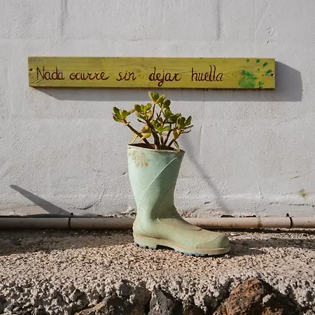 Apartmán A-nueva! Magec Vip Jacuzzi Privado Buzanada