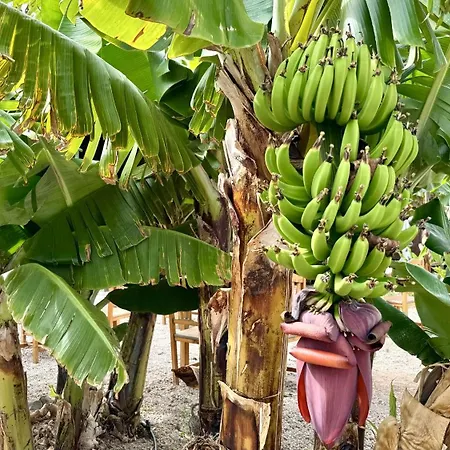 A-nueva! Magec Vip Jacuzzi Privado * Buzanada