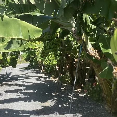 A-nueva! Magec Vip Jacuzzi Privado Apartment Buzanada