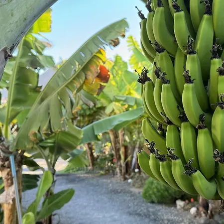 A-nueva! Magec Vip Jacuzzi Privado